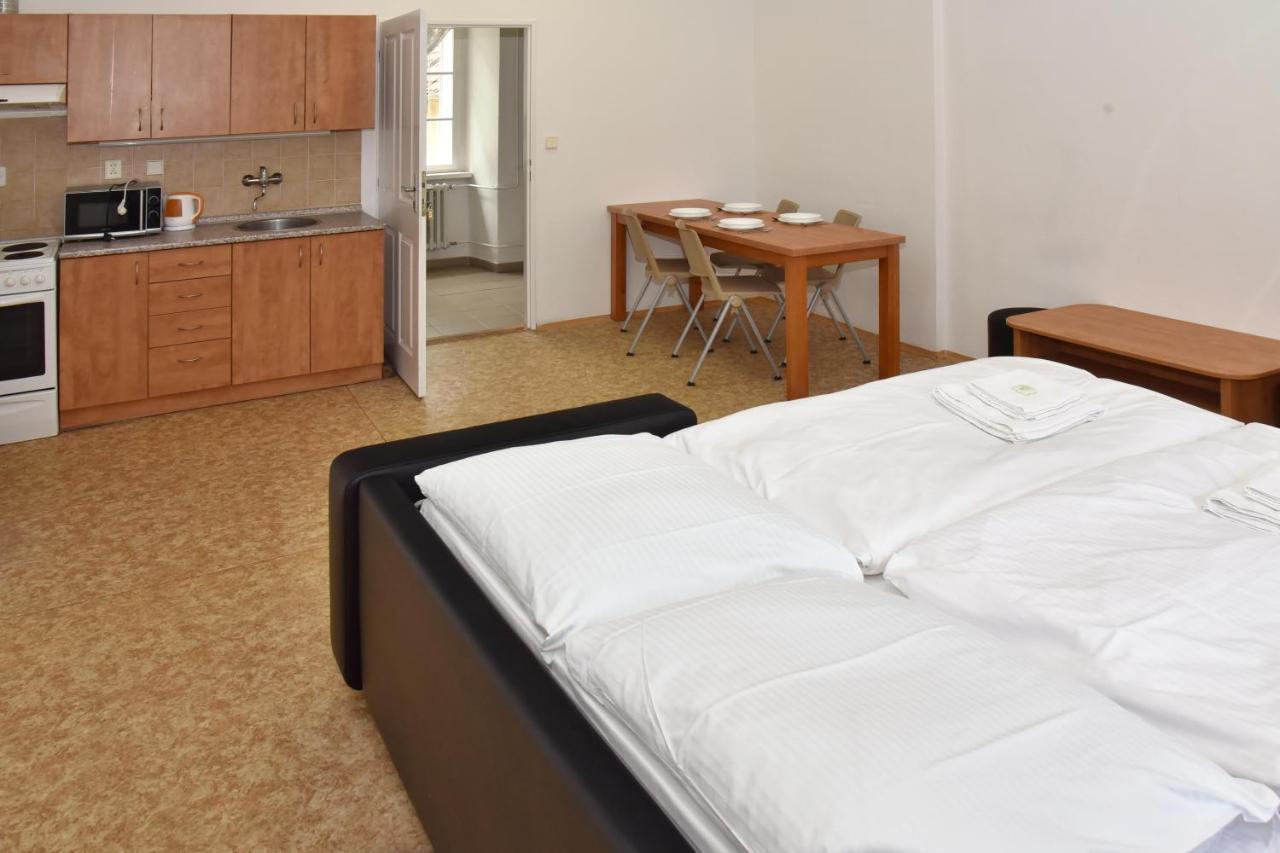 Zamek Racice Otel Dış mekan fotoğraf