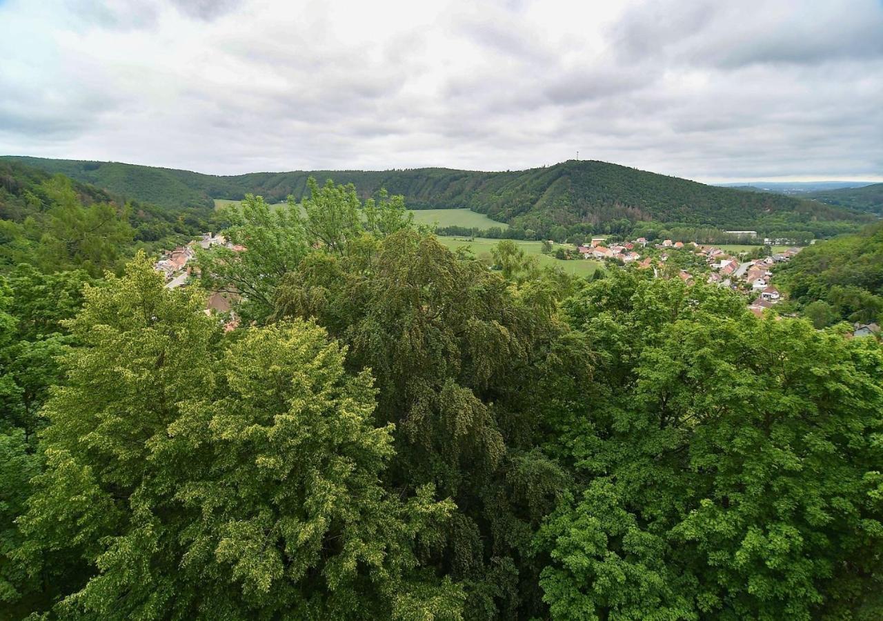 Zamek Racice Otel Dış mekan fotoğraf